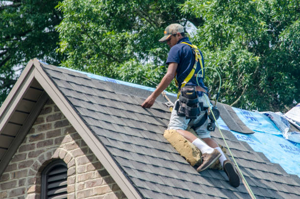 Best Affordable Roof Replacement  in Paterson, NJ